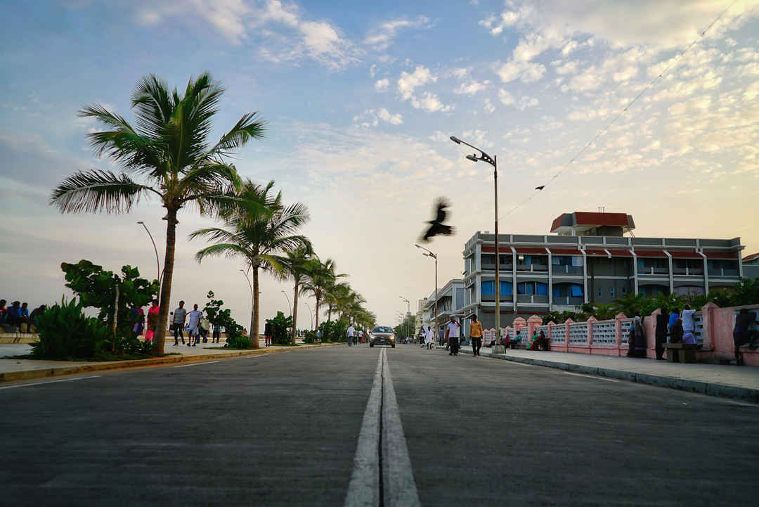 Photo of Solo Trip to Pondicherry & Auroville