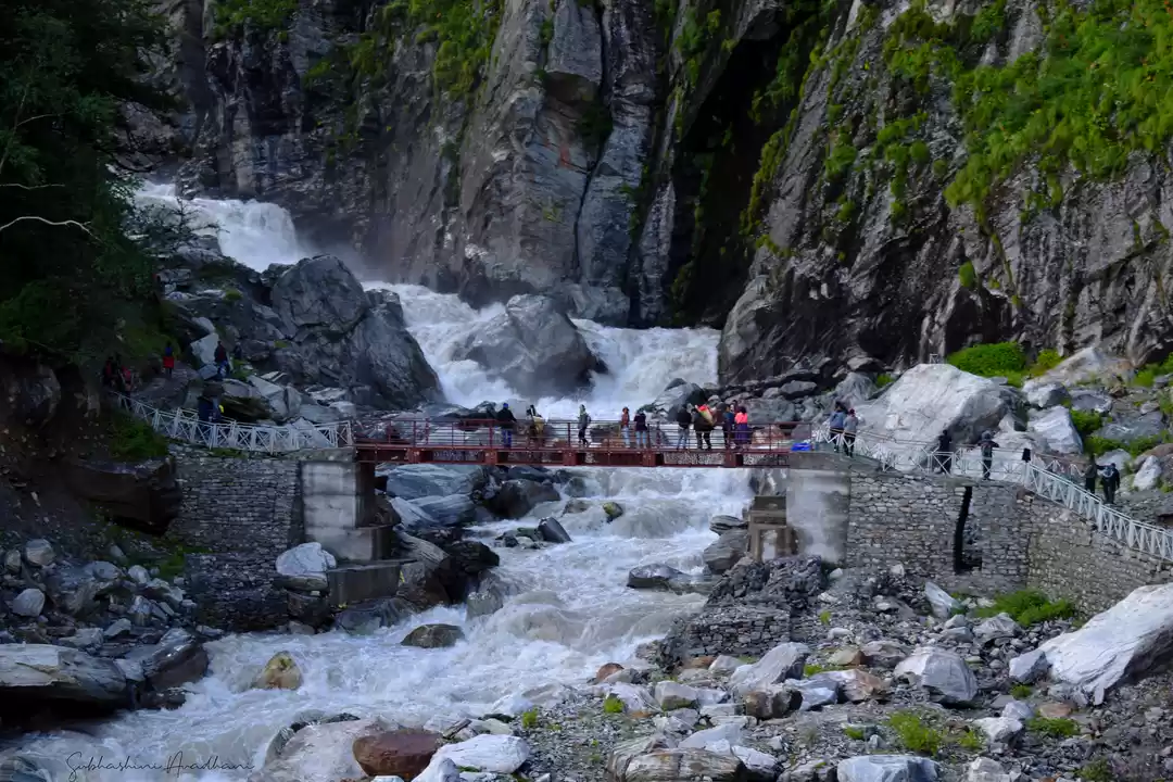 Photo of Valley of flowers tr