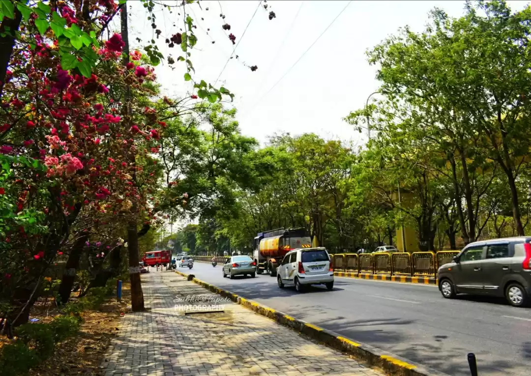 Photo of Pune Summer remains 