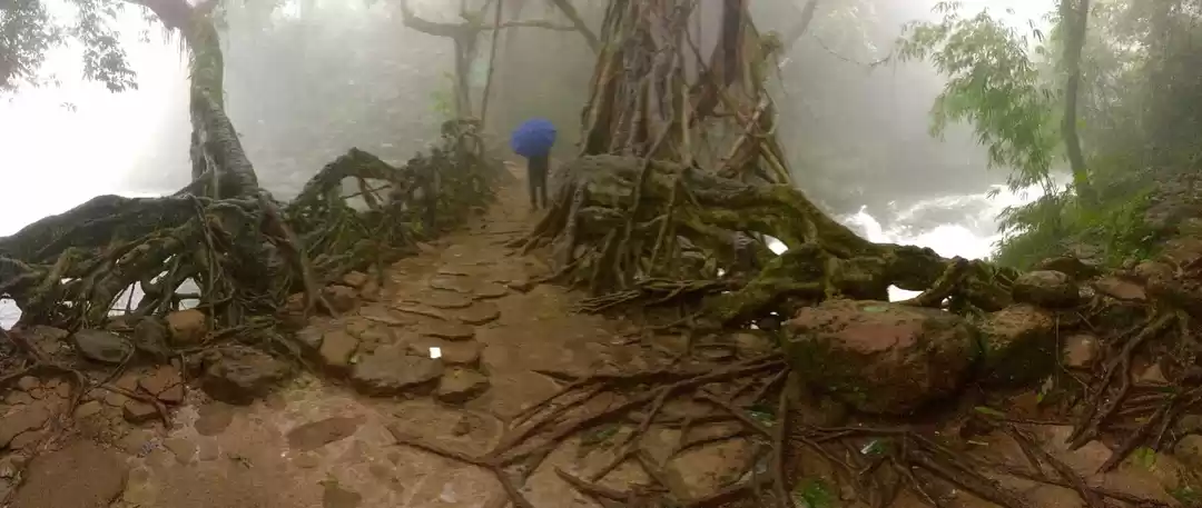 Photo of 72 hours in Shillong