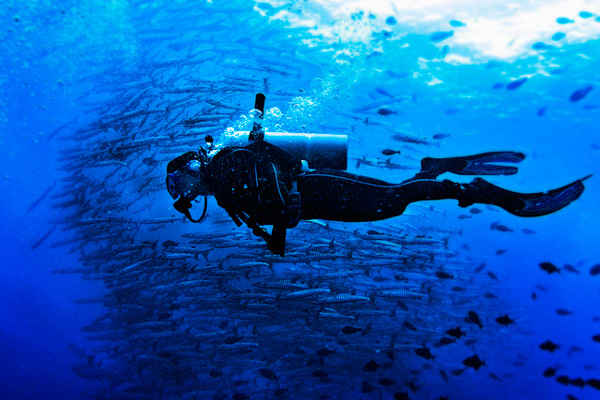 Photo of Unexplored Underwater Haven: Sipadan, Malaysia