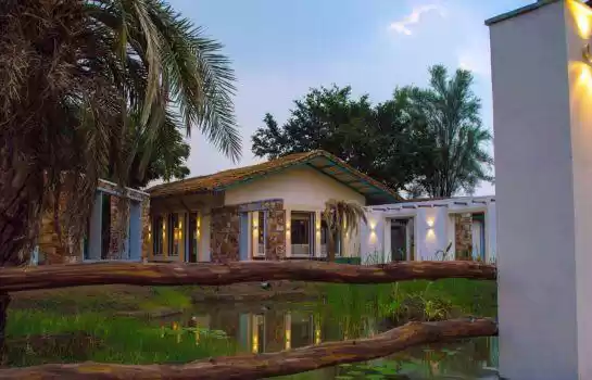 Photo of Sariska-Trees And Ti