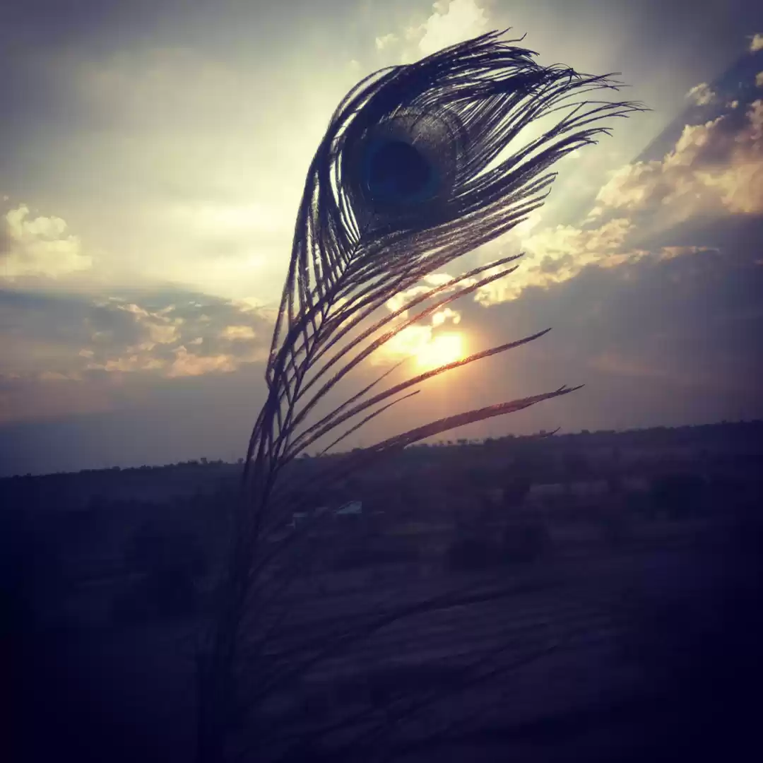 Photo of Offbeat road trip to