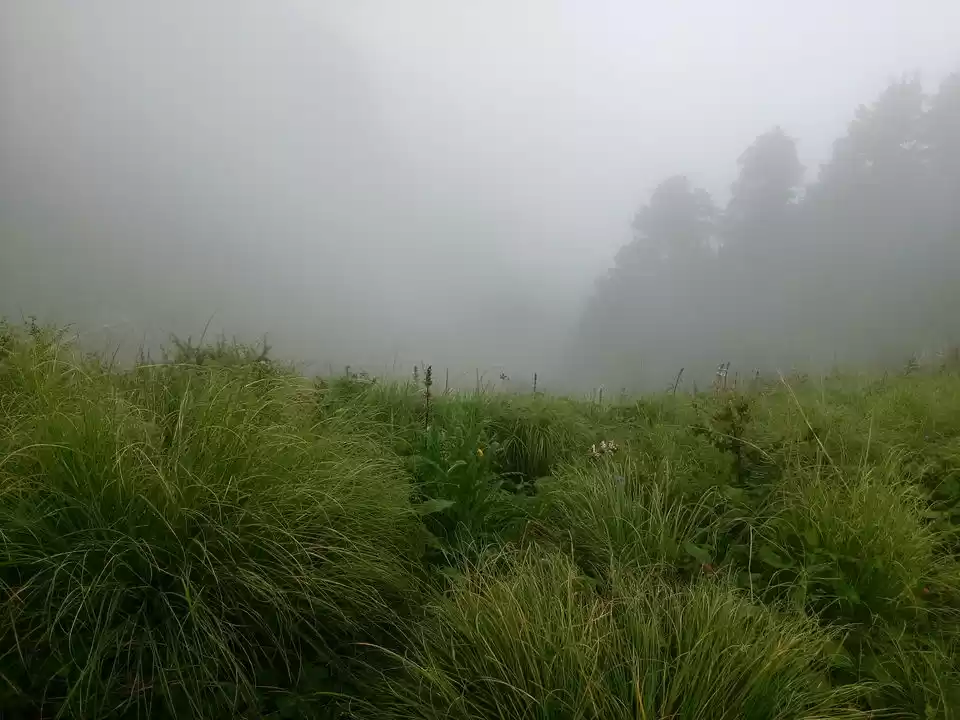 Photo of When Mountains Call