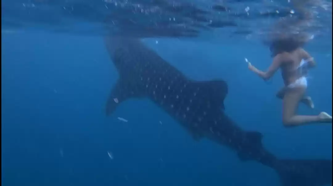 Photo of Layover in Singapore