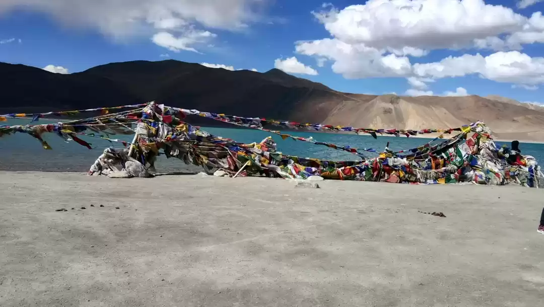 Photo of Ladakh Diaries Day 7