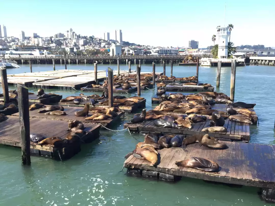 Photo of 15 Days On The U.S. 