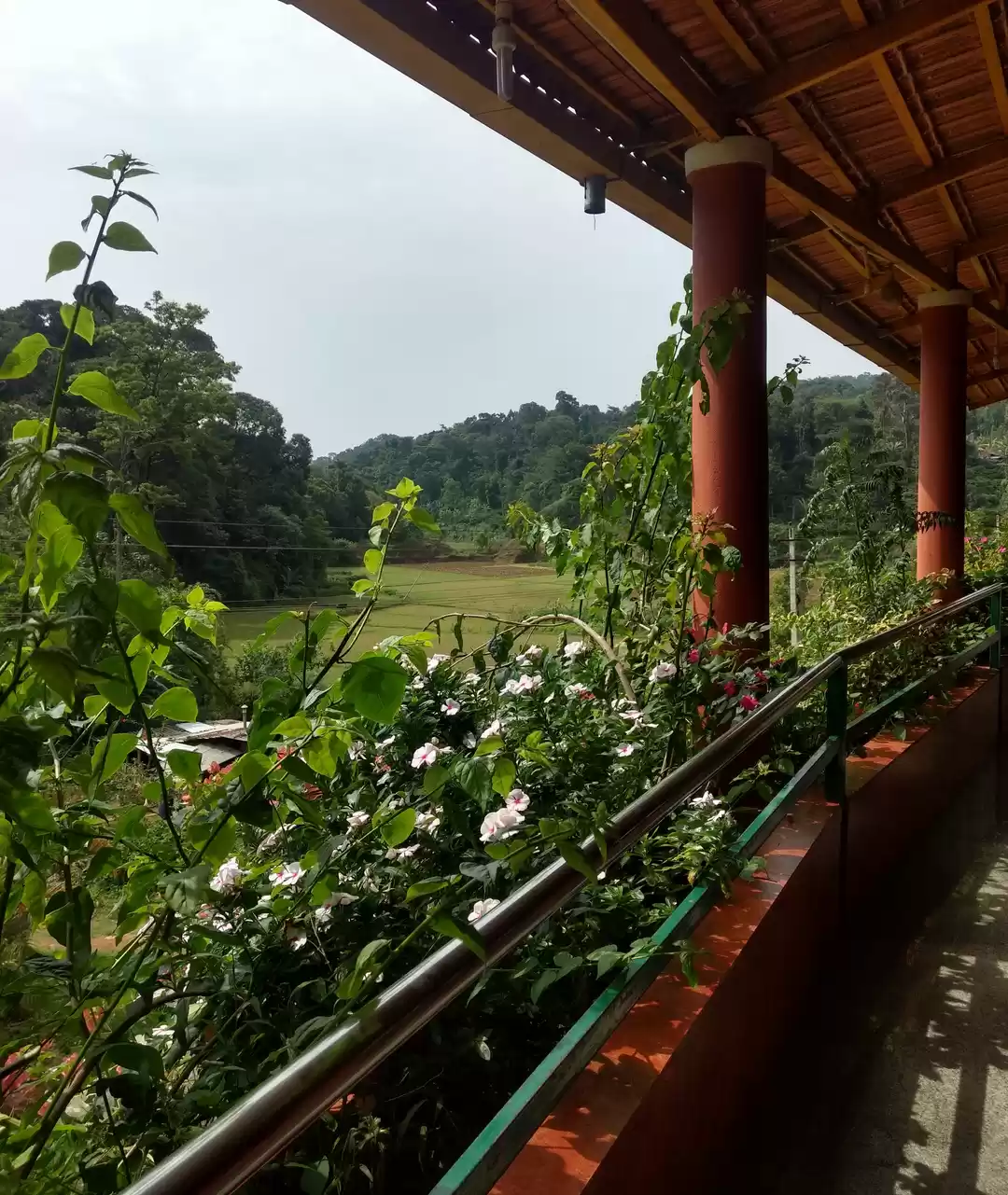 Photo of A refreshing pause. 