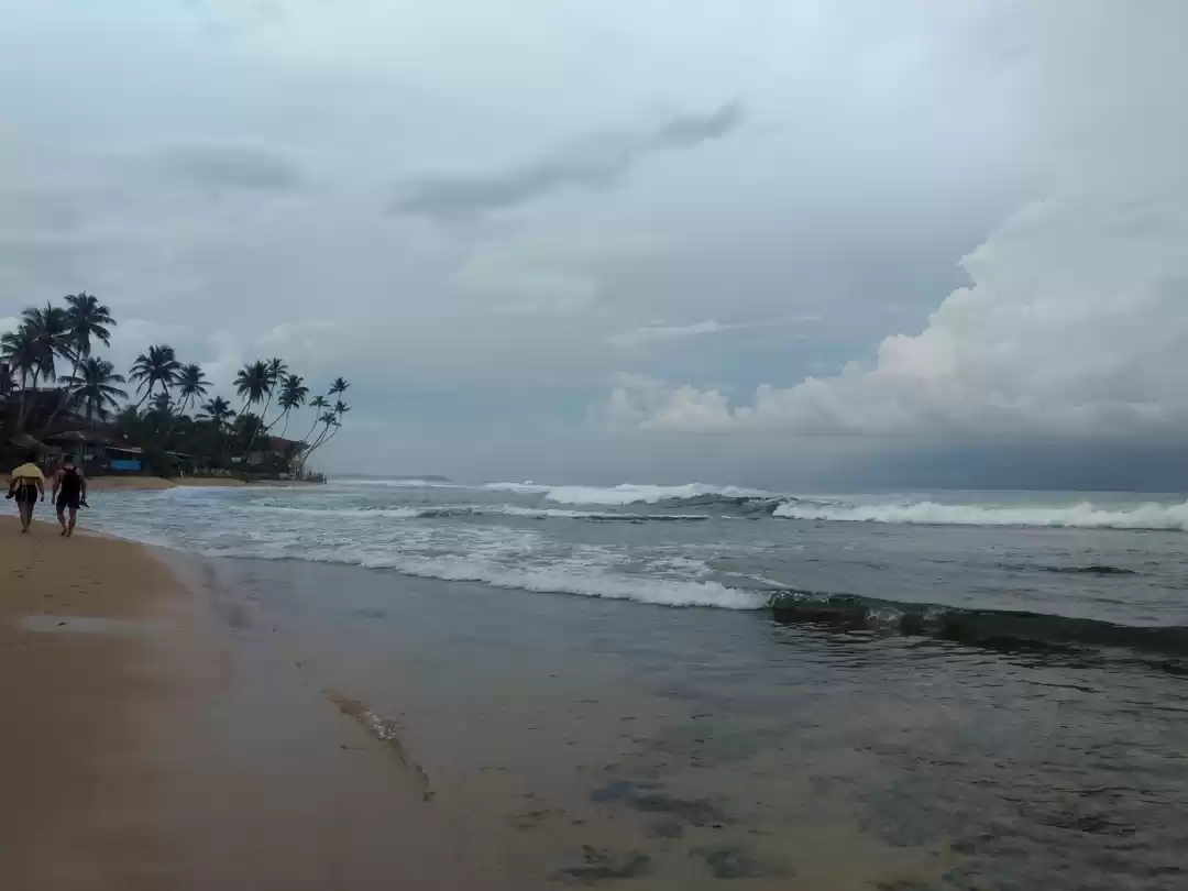 Photo of If you want to meet