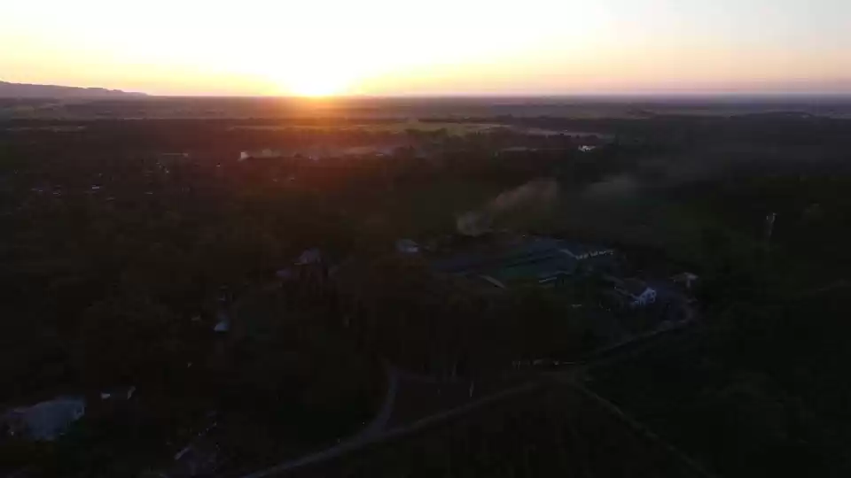Photo of Tea Garden of Assam