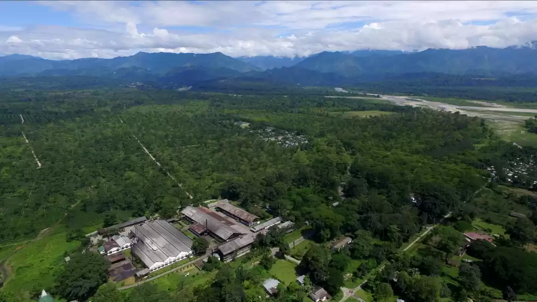 Photo of Dejoo Tea Estate #Te