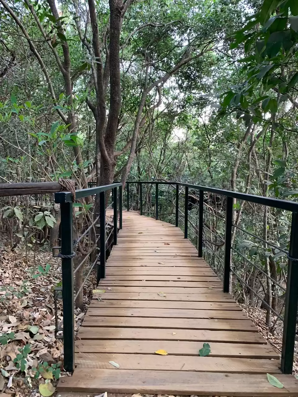 Photo of A cabin in the woods