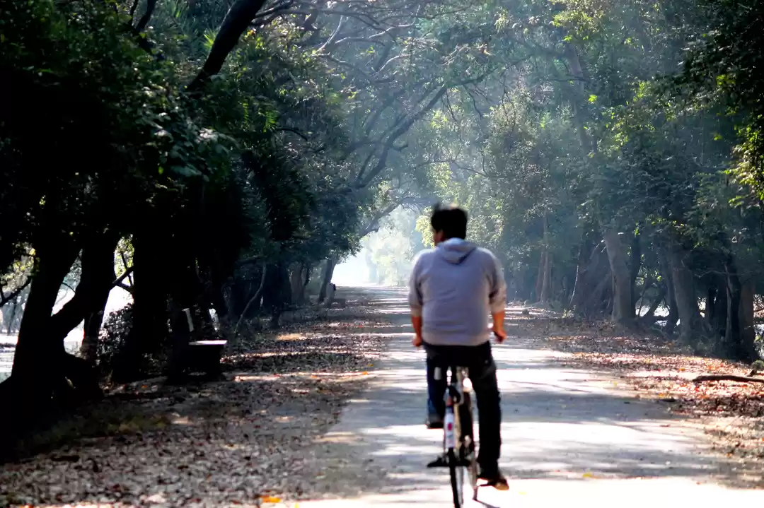 Photo of Bharatpur- The city 