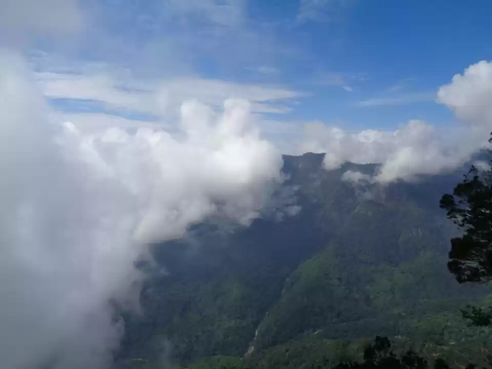 Photo of Celestial peace in C