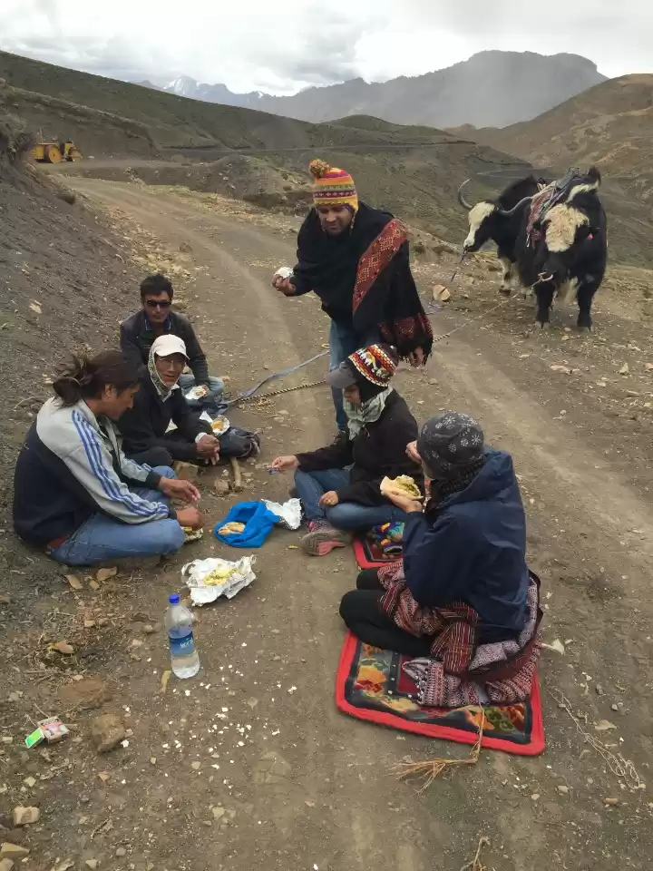 Photo of Yak Safari @ Spiti 