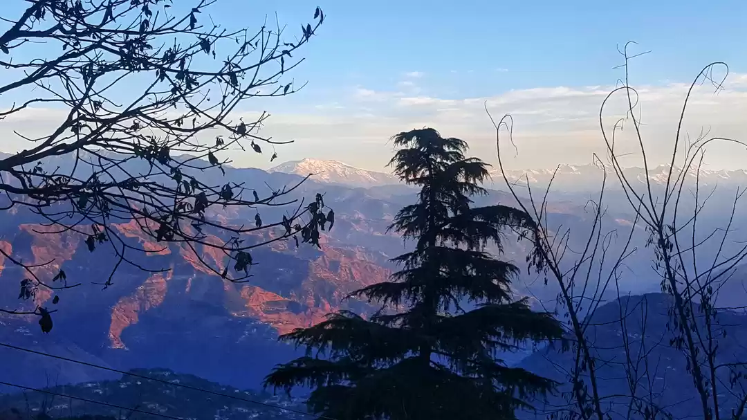 Photo of Fir se udd chala, ud