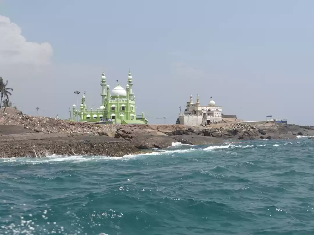 Photo of KOVALAM: The Coconut