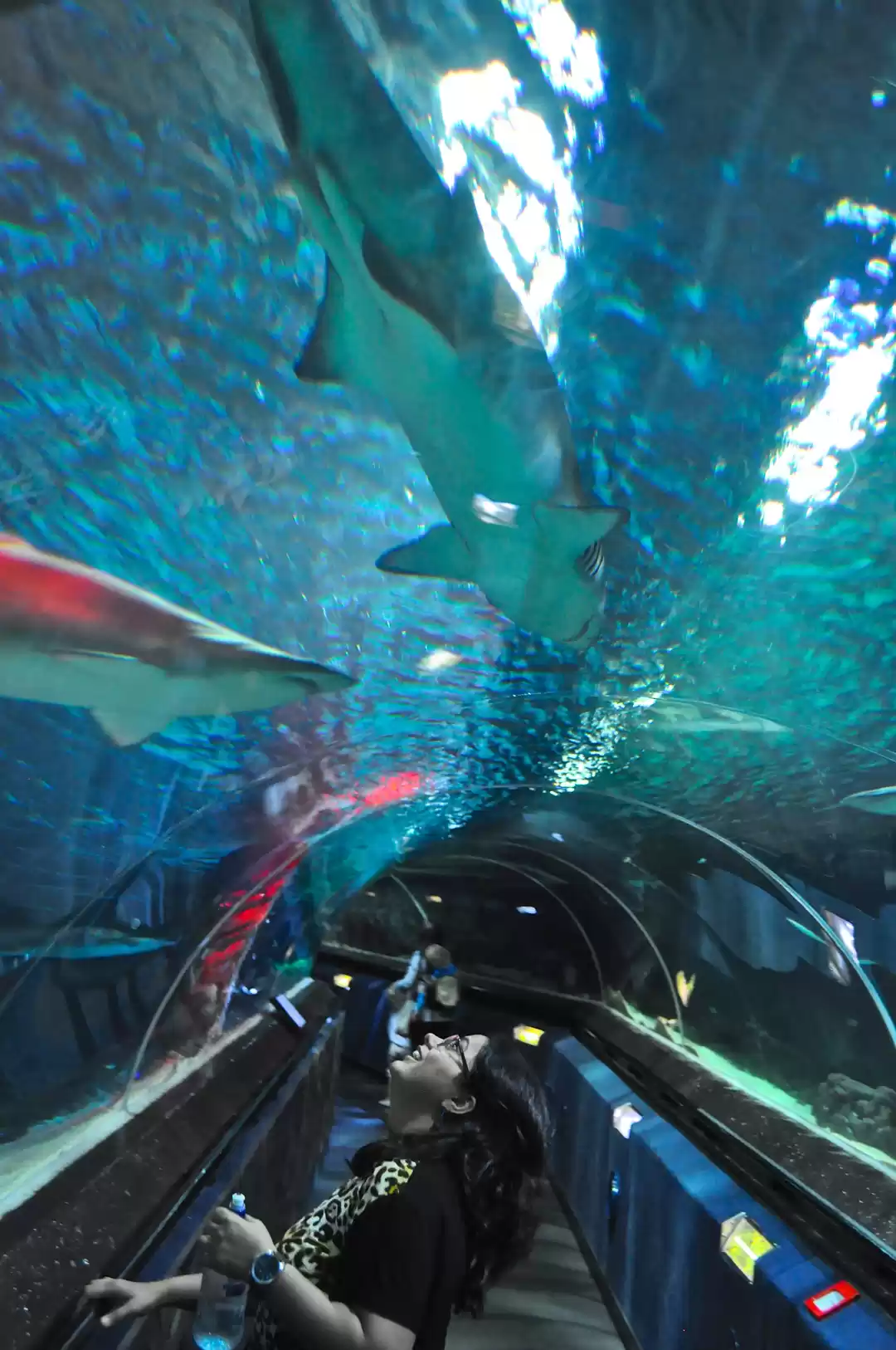 Photo of Experiencing Godline