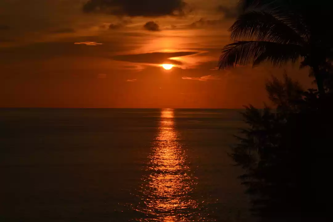 Photo of Best of Thailand