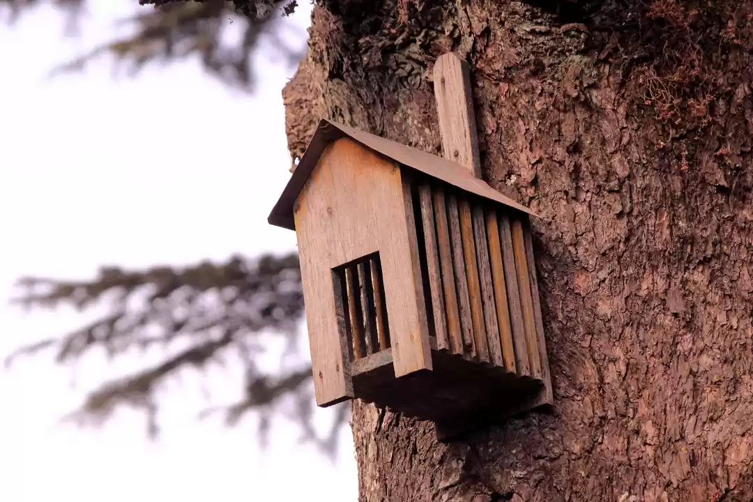 Photo of Weekend Getaway to D