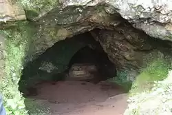 Photo of Chirping Chikmagalur