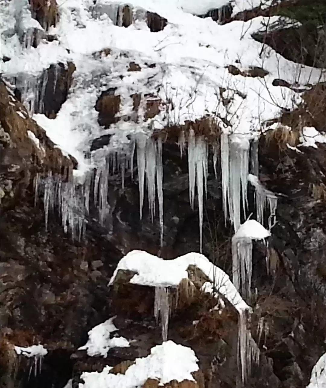 Photo of India's Premier Ice 