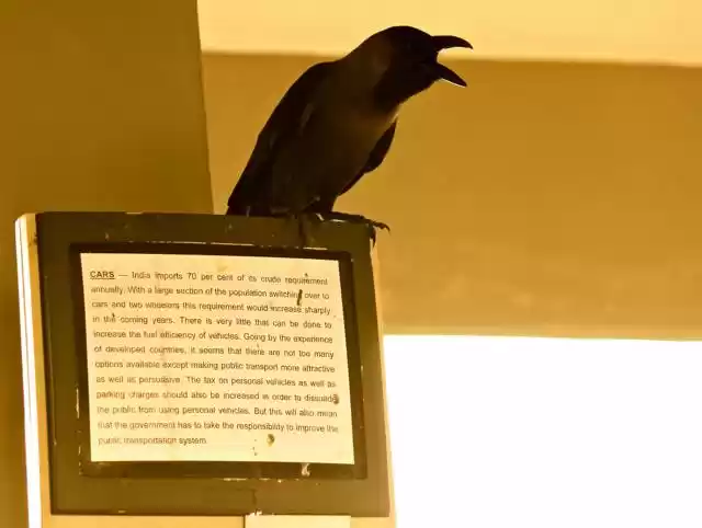 Photo of Pondicherry – A Potp