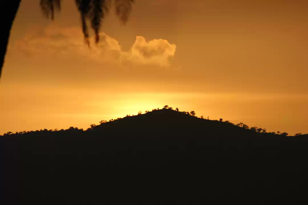 Photo of 10 things to do in P