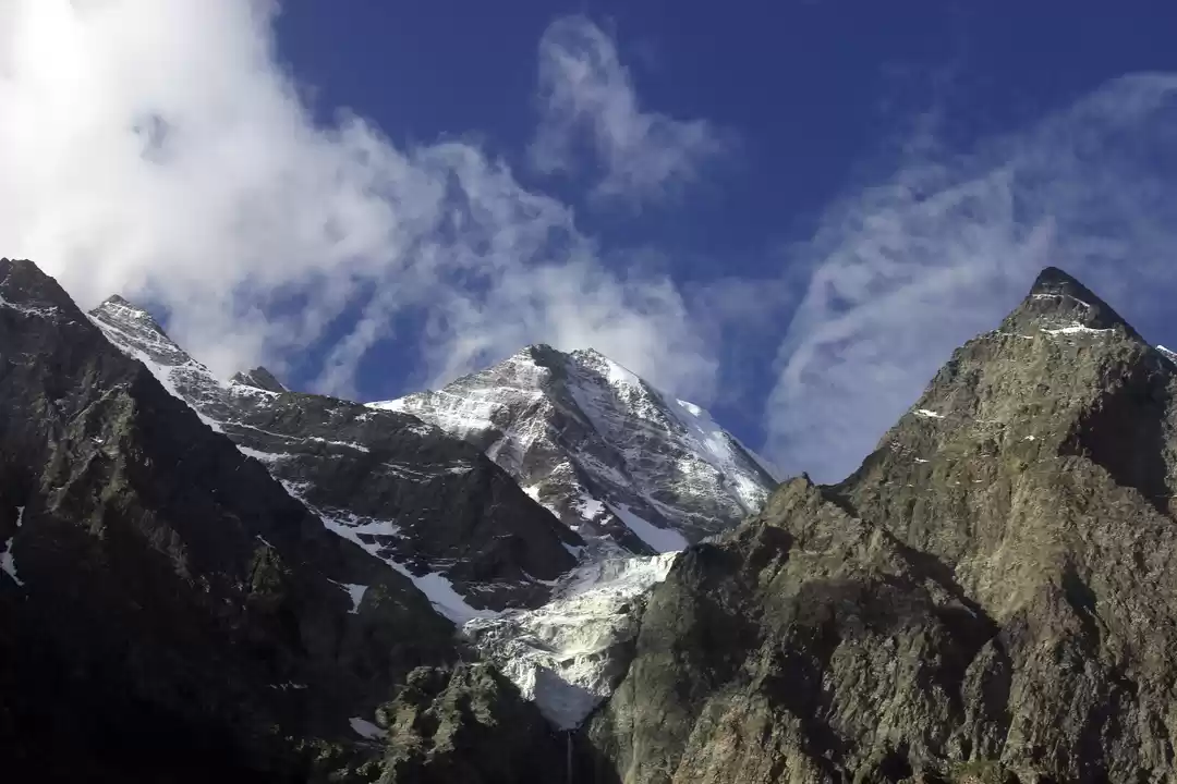 Photo of Making New Friends o