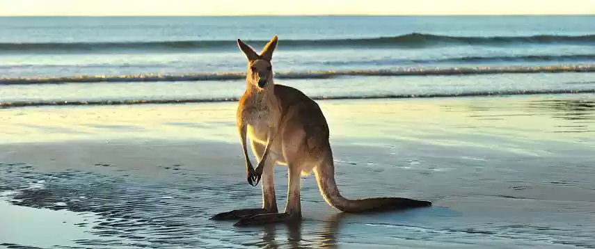 Photo of ADELAIDE - A Vibrant