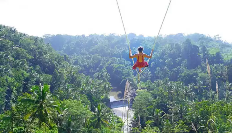 Photo of Best 5 ‘Swings’ In B