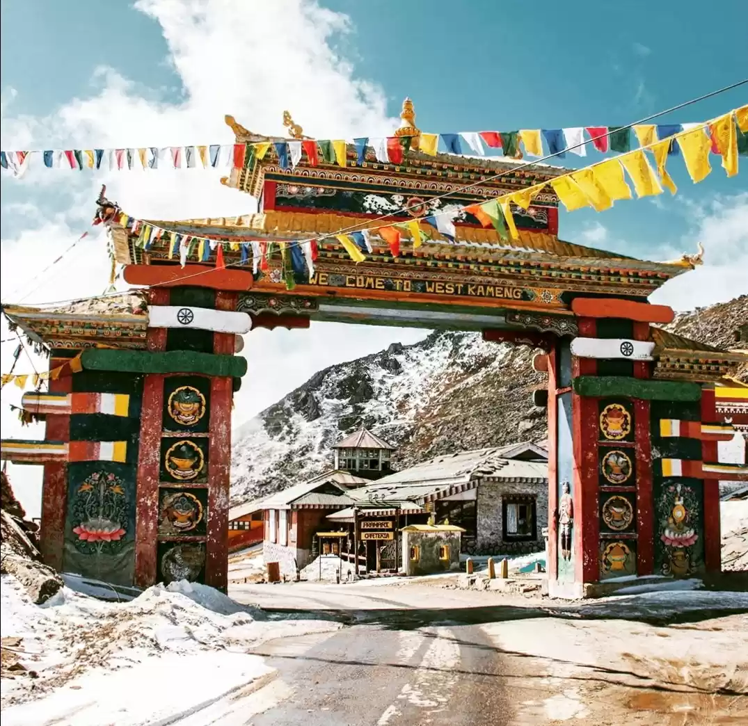 Photo of Some pictures which