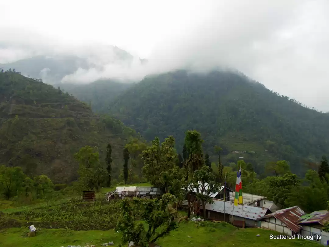 Photo of Zuluk, the natural a