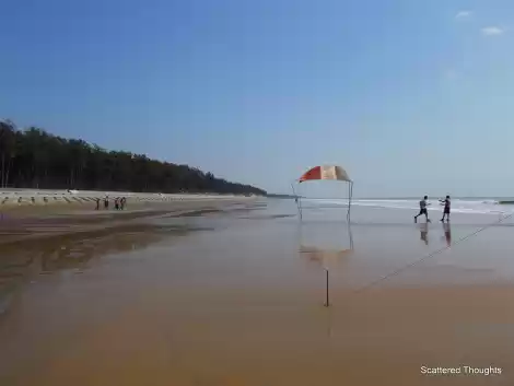 Photo of The beauty of Udaipu