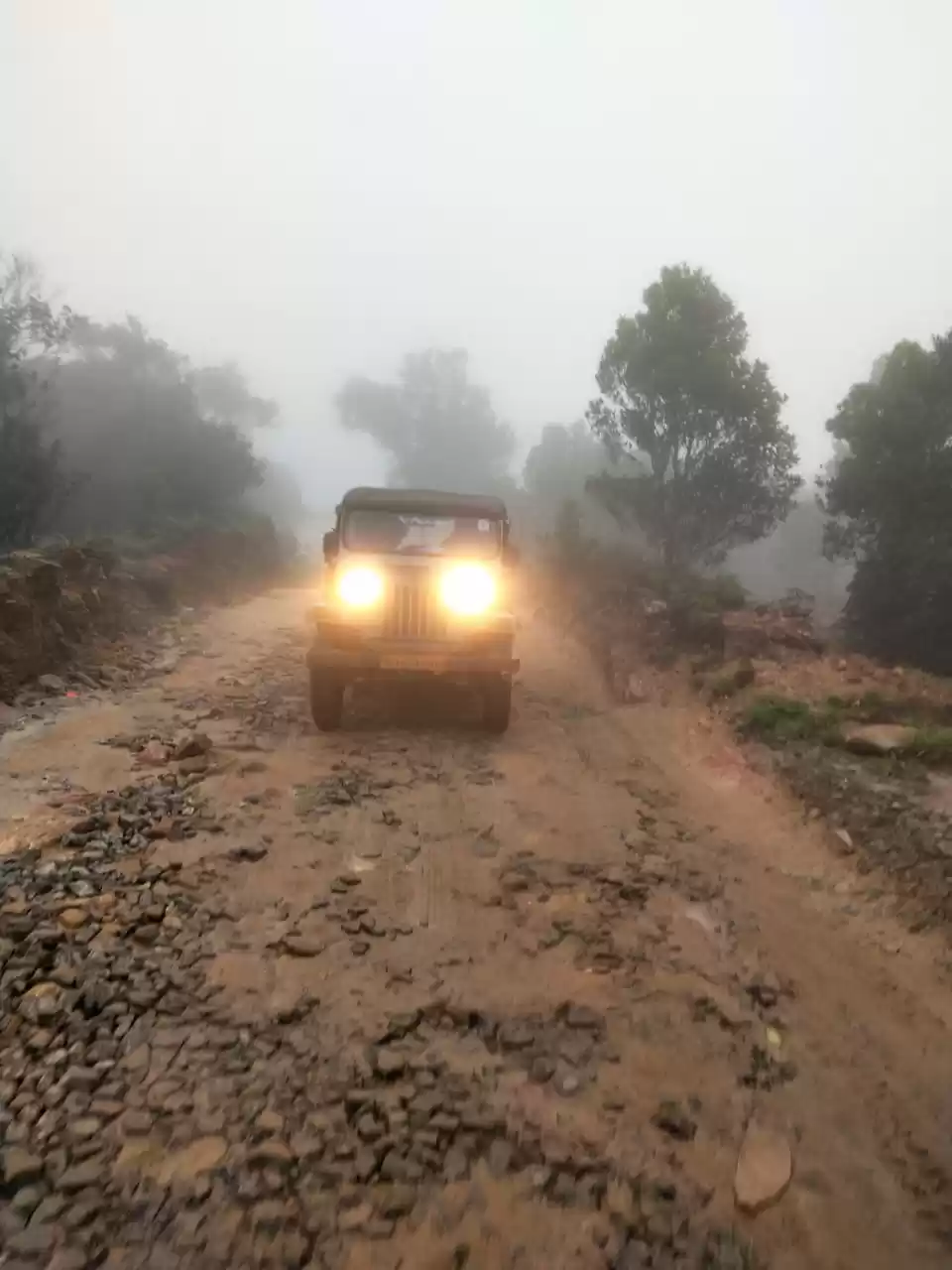 Photo of close to nature