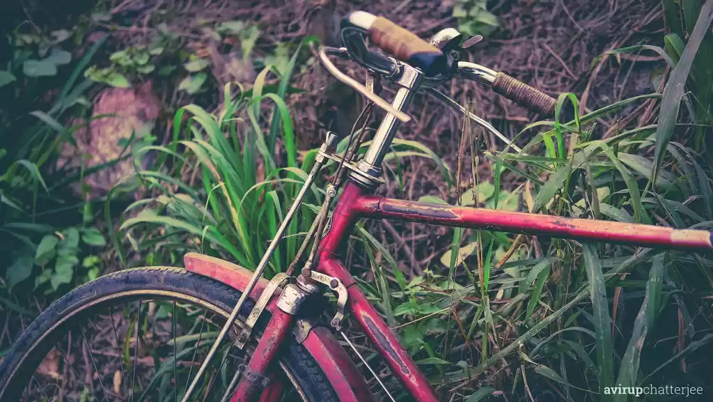 Photo of A Surprise Stop At K