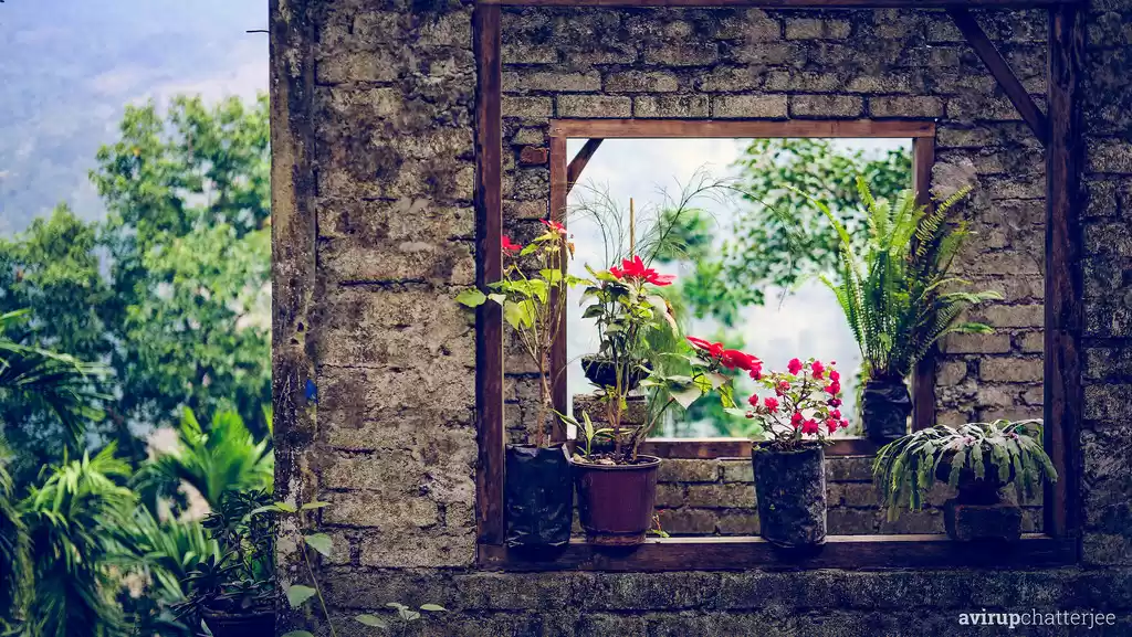 Photo of The Dooars Story