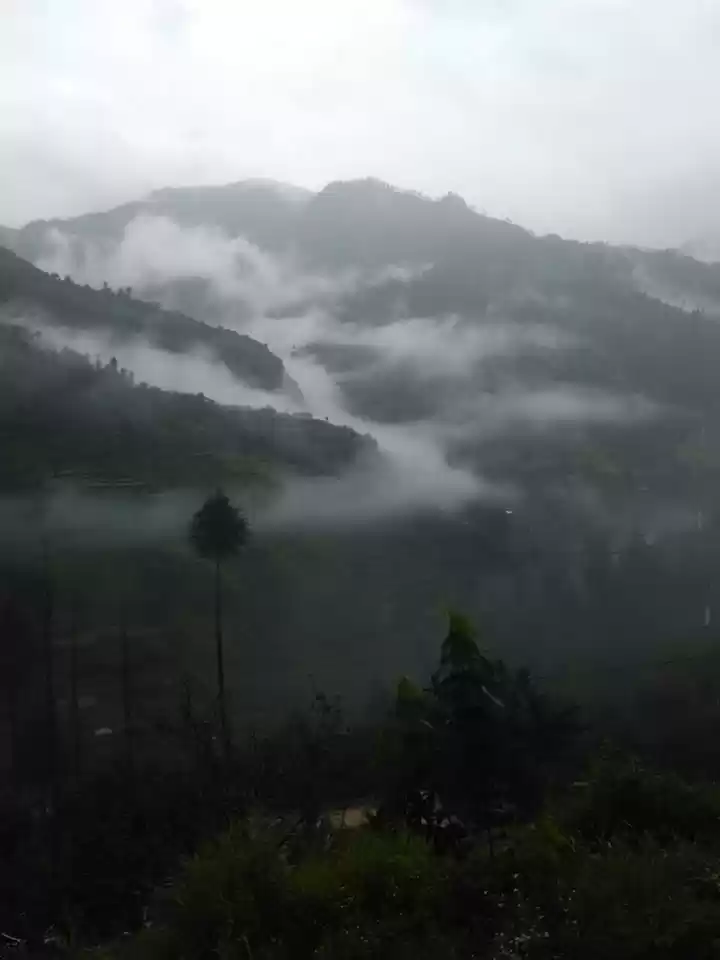 Photo of A monsoon treat- Shi