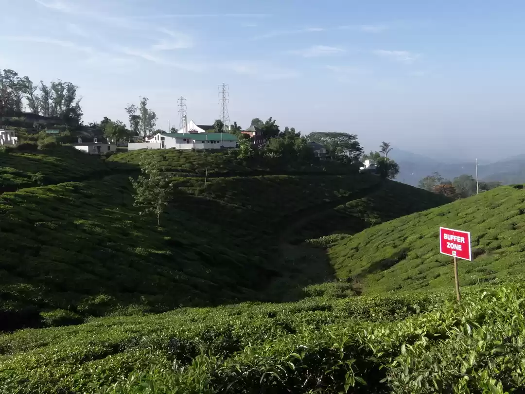 Photo of Finding home in the