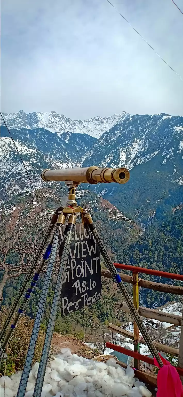 Photo of YOLO kinda SOLO