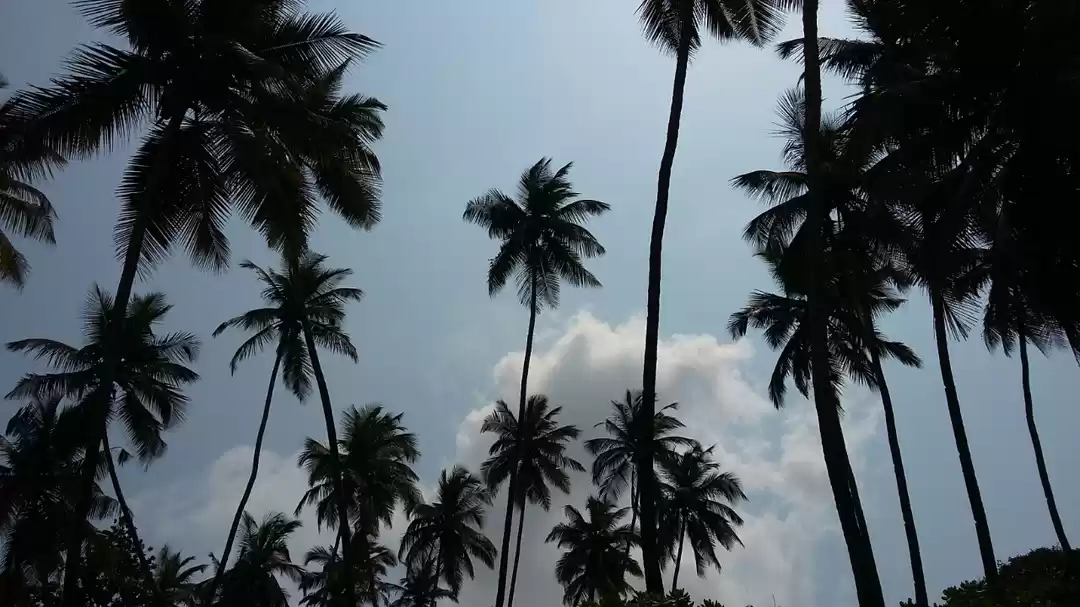 Photo of Goa: It's not all ab