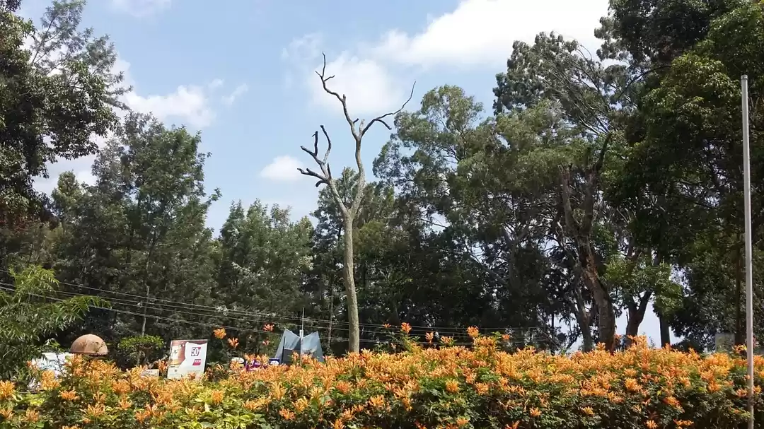 Photo of Why should you visit