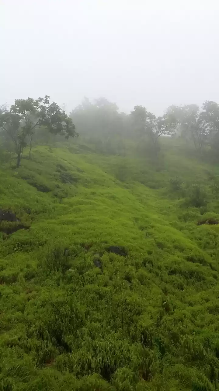 Photo of Tamhini ghat: Nature