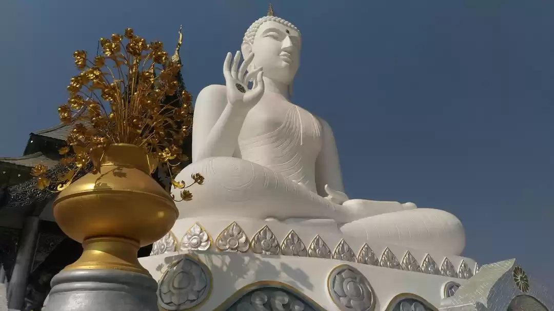 Photo of Why visiting Bodh Ga