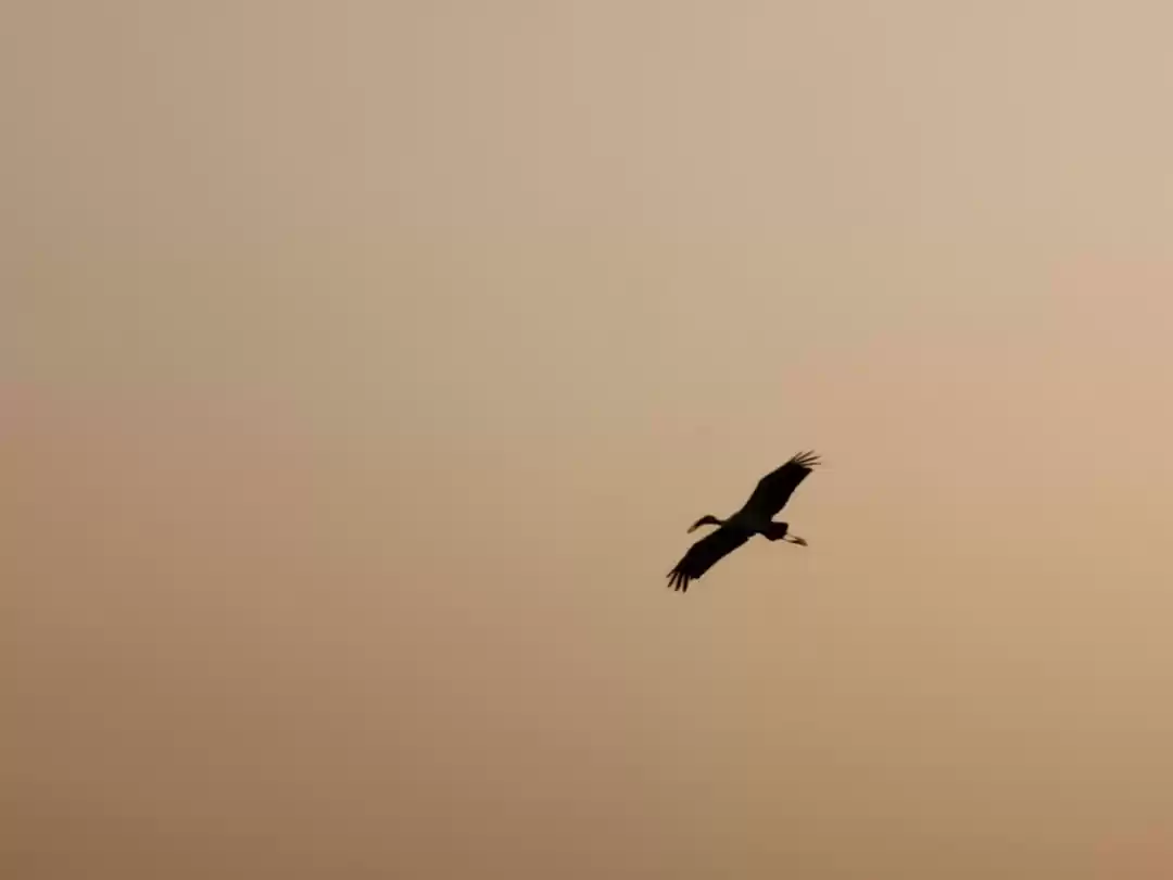 Photo of Bhigwan: tips and tr