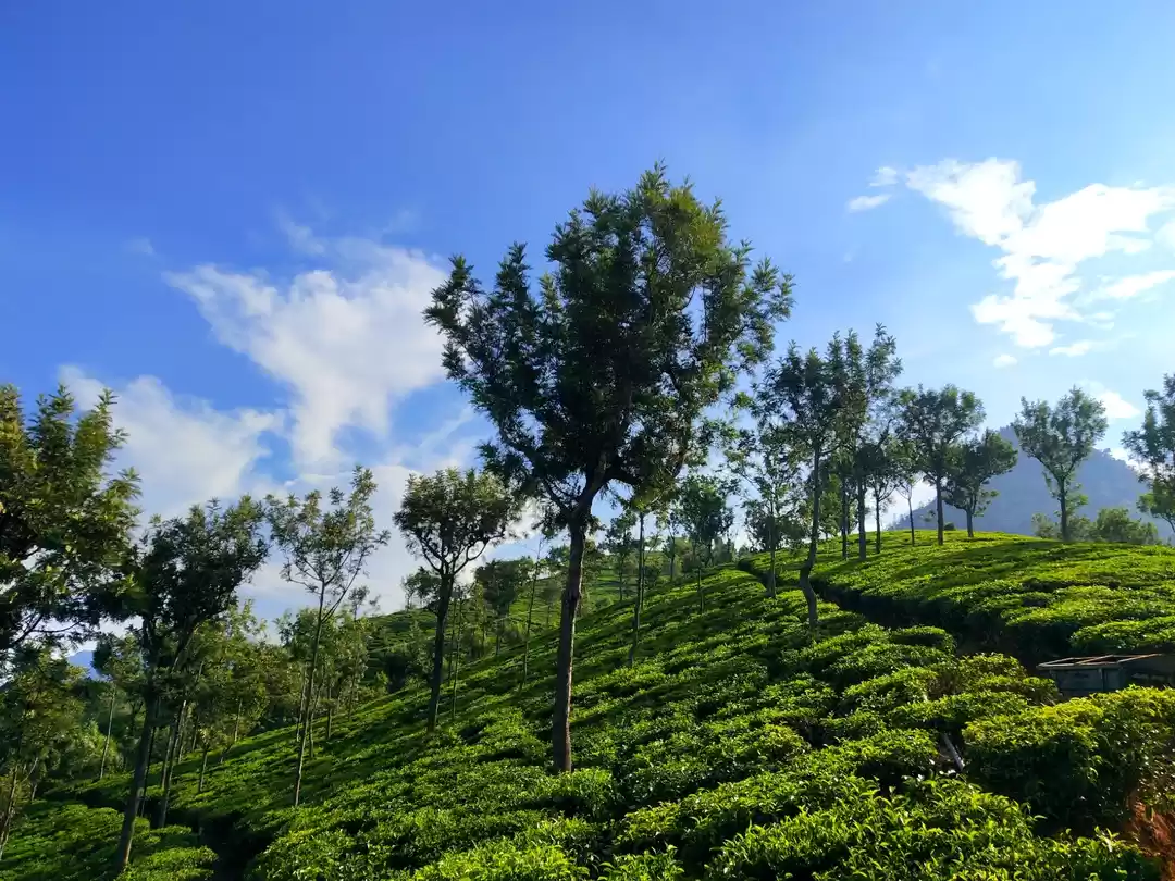 Photo of Secrets and Handy ti