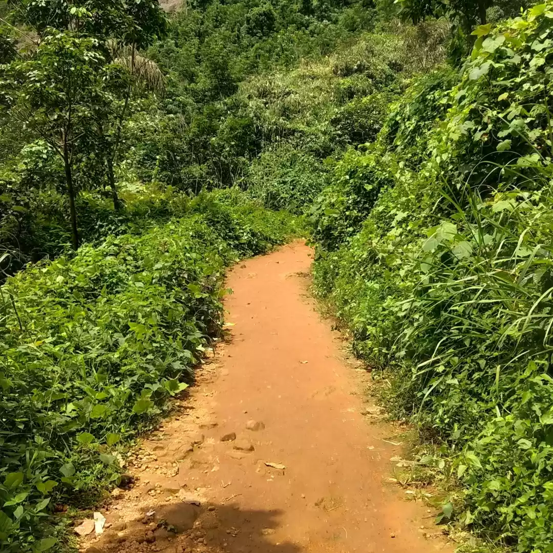 Photo of Vagamon Musings