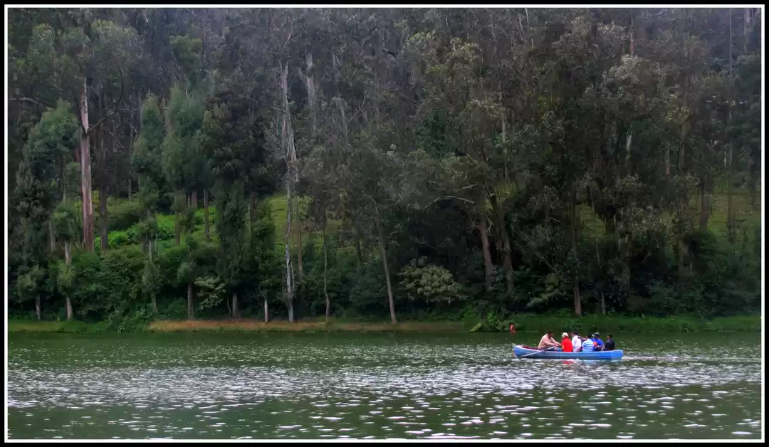 Photo of Escapade to Coonoor