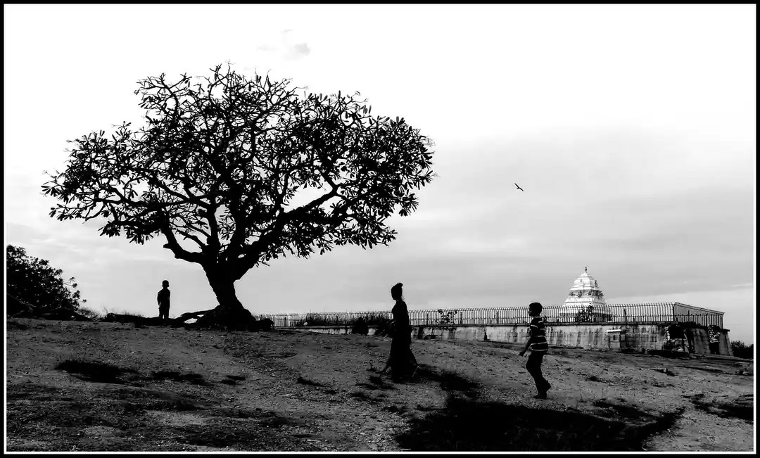 Photo of Lalbagh morning walk