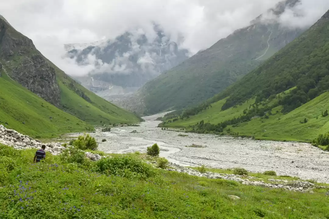 Photo of Valley of Flowers "J